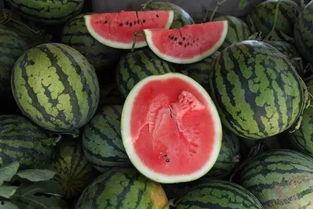 趴着的吃瓜群众,吃瓜群众的热议焦点  第1张